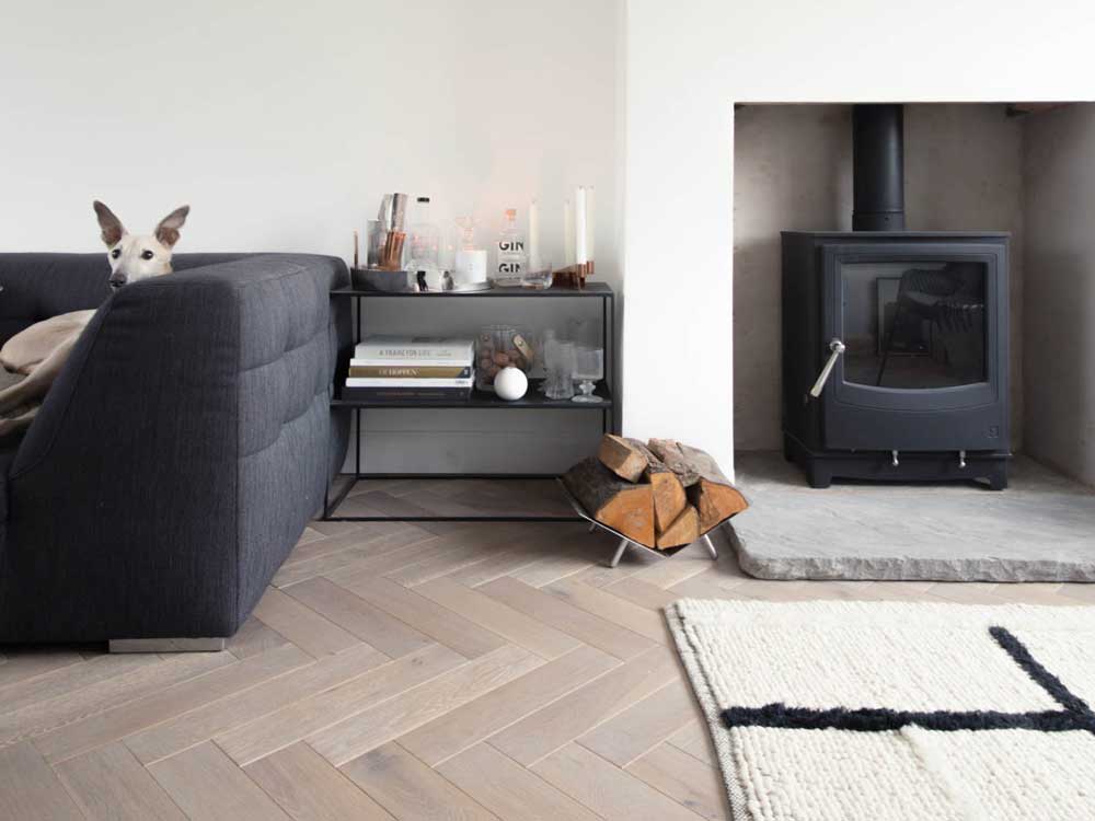 Farringdon Medium Eco Stove in fireplace and dog sat on sofa in modern room