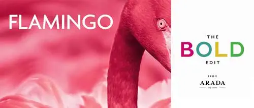 Flamingo pink - The BOLD Edit stove colour exclusive to Arada